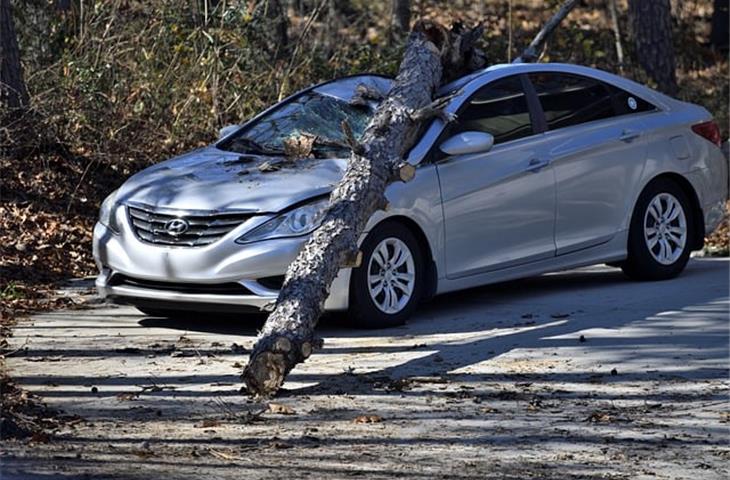 grandmother got hit by car settling with insurance in maryland