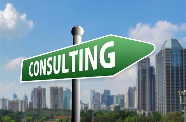 insurance consulting