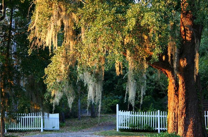 ambetter login south carolina