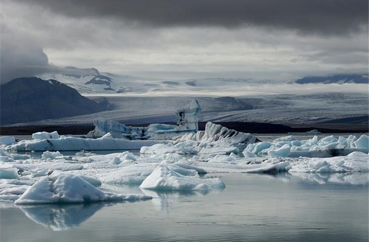 glacier insurance pay bill