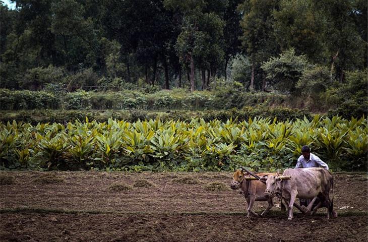 auto insurance for farmers