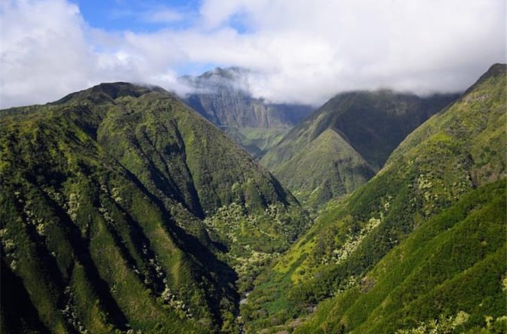 hawaii car insurance